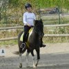 Babie Lato 2016